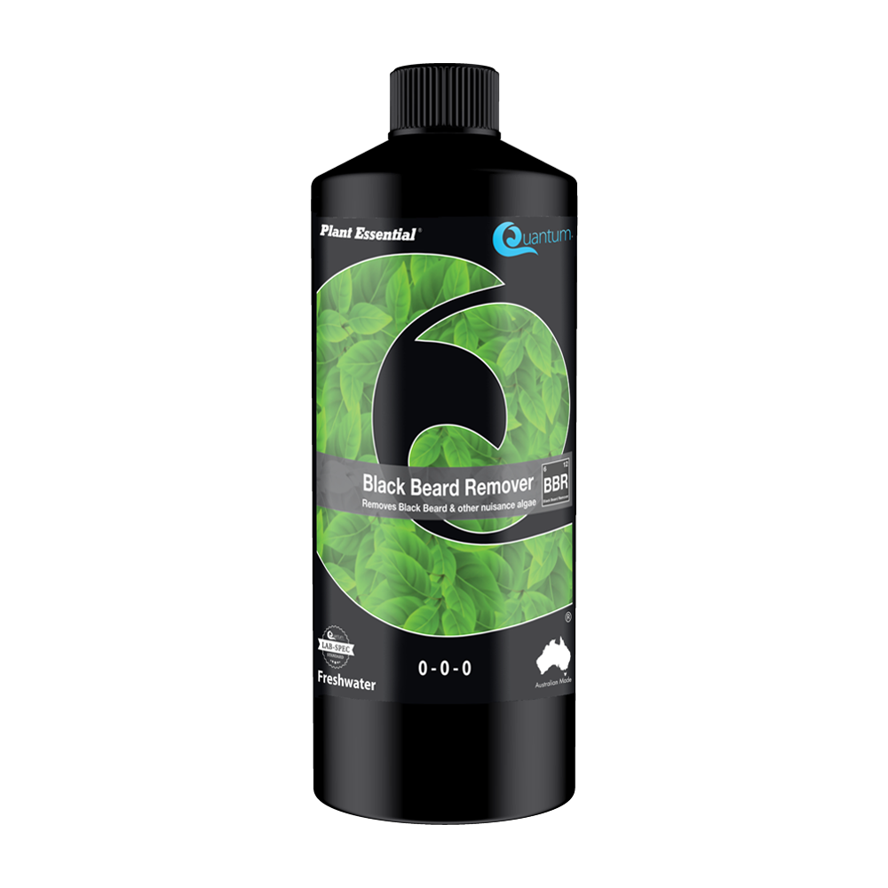 best way to clean algae off plastic aquarium plants Effortlessly Remove Black Beard Algae from Your Aquarium – Quantum USA