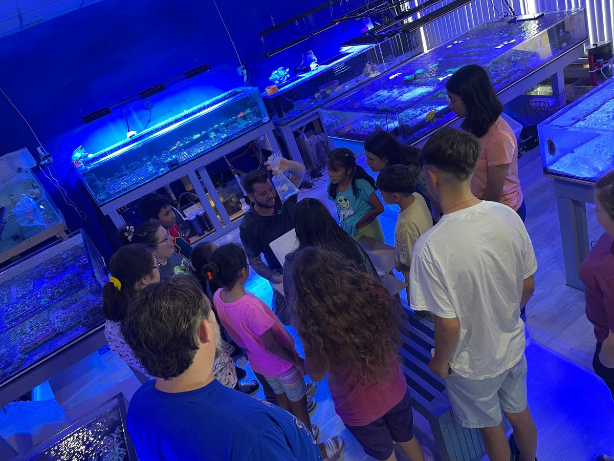 How Local Fish Stores Are Growing With Quantum USA