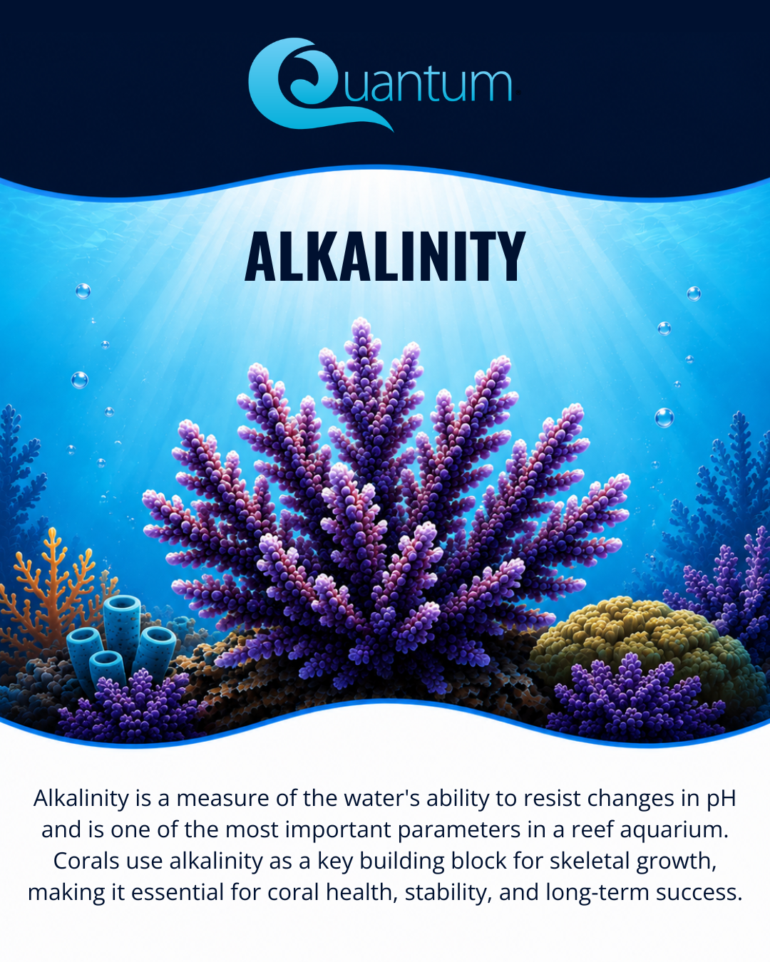 Alkalinity
