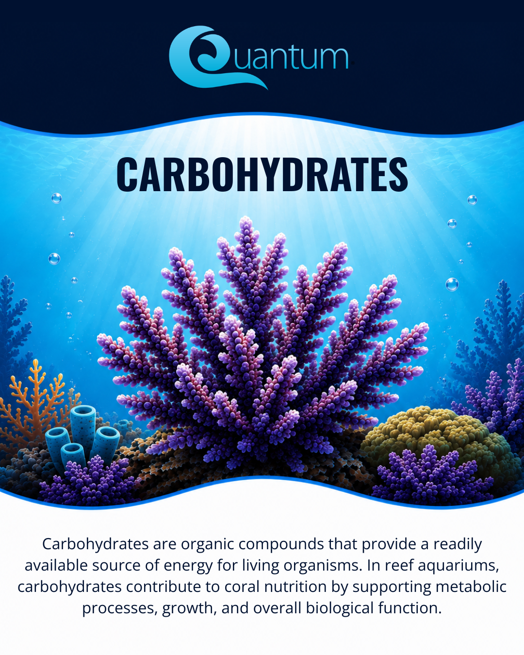 Carbohydrates
