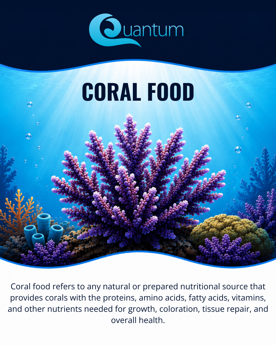 Coral Food