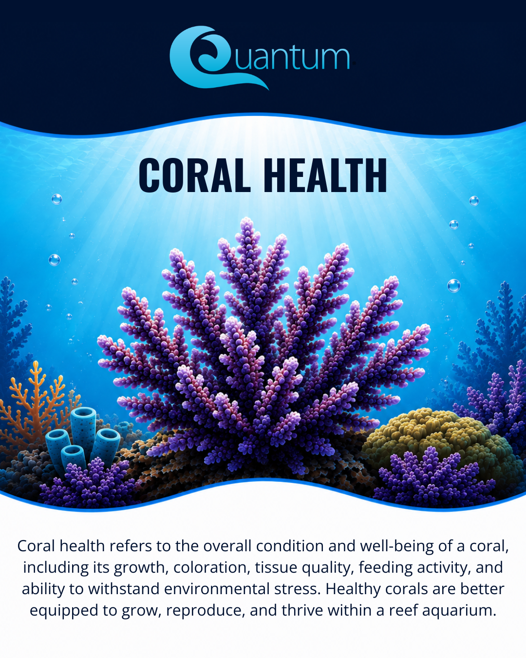 Coral Health