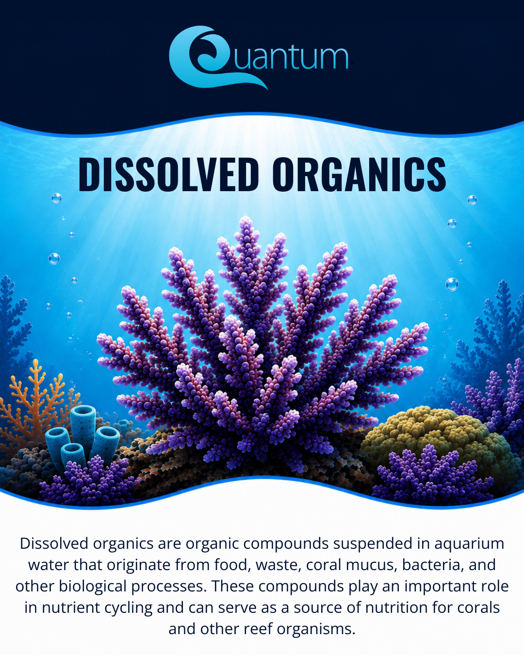 Dissolved Organics