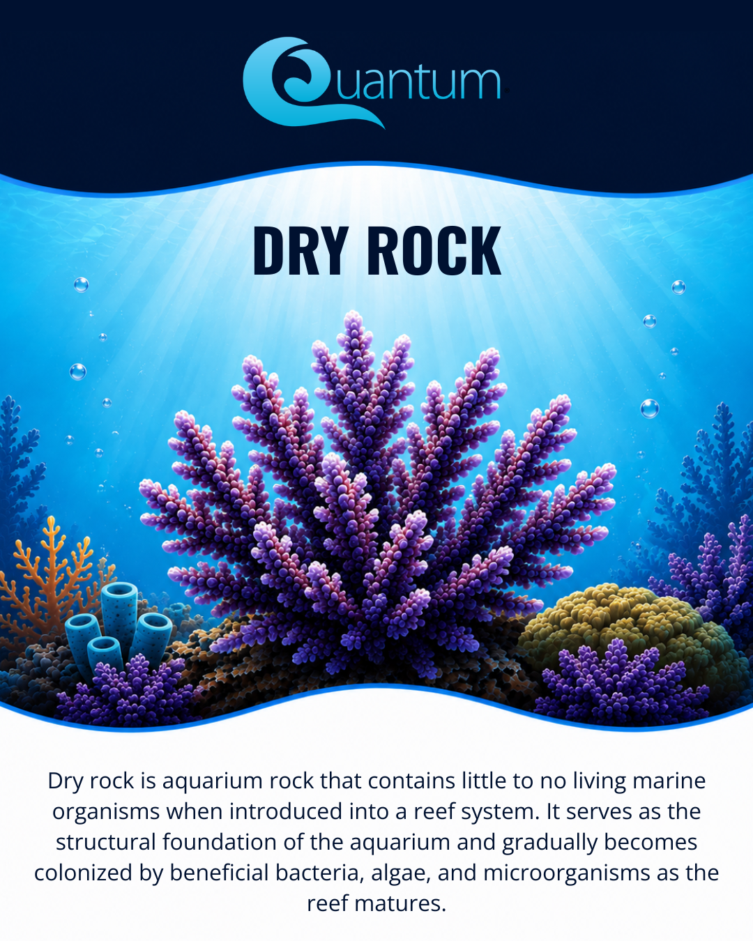 Dry Rock