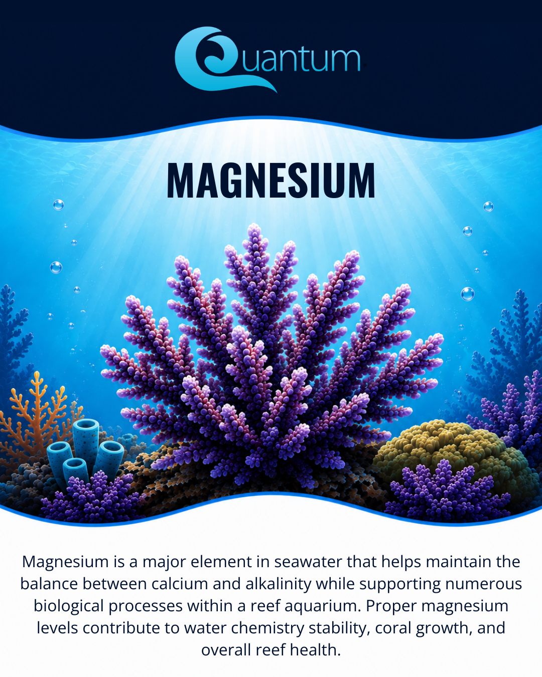 Magnesium