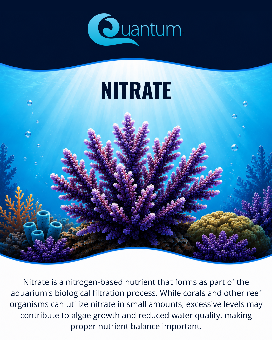 Nitrate