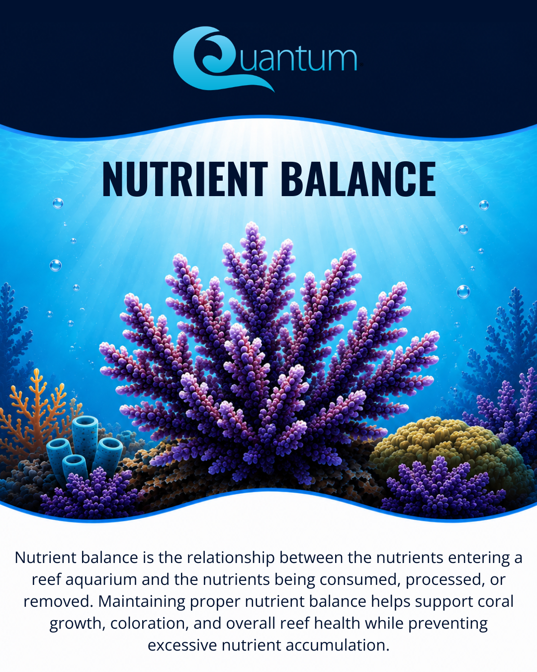 Nutrient Balance