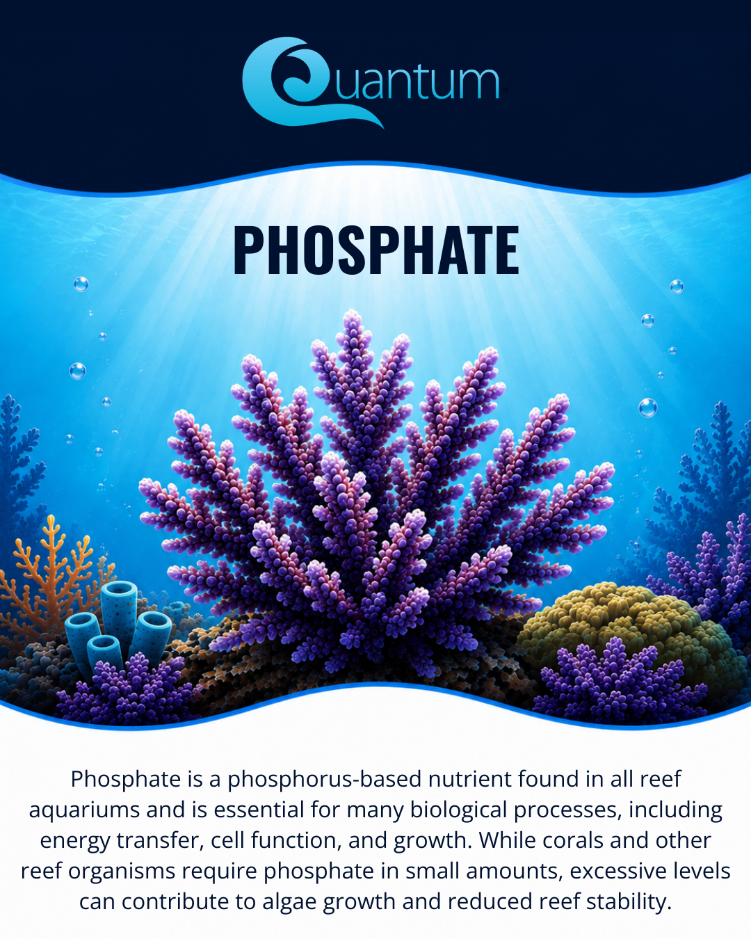 Phosphate