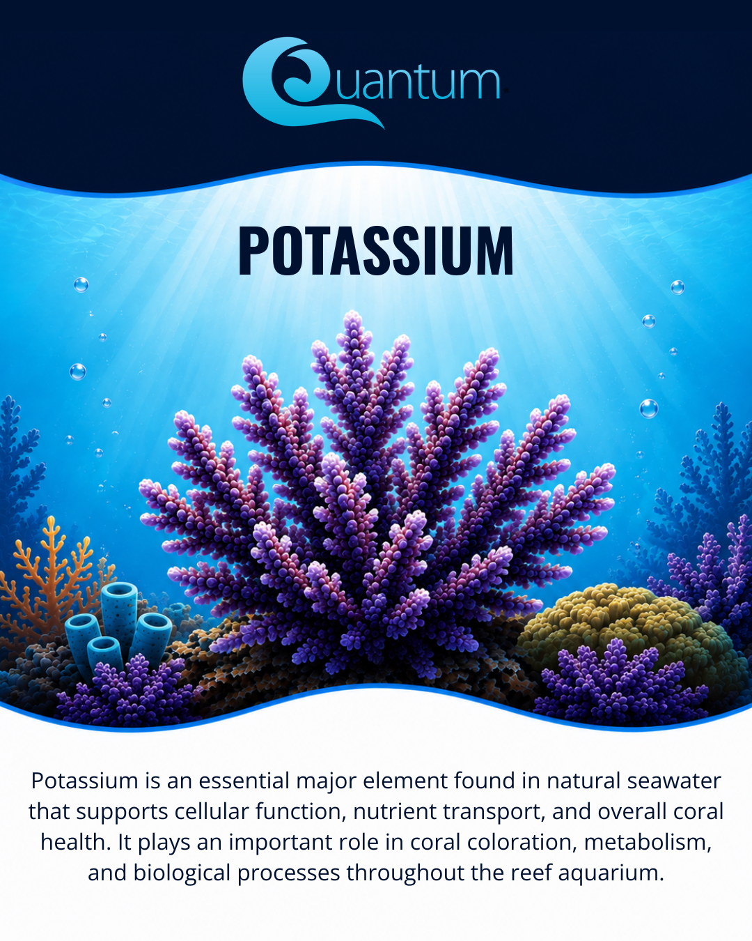 Potassium