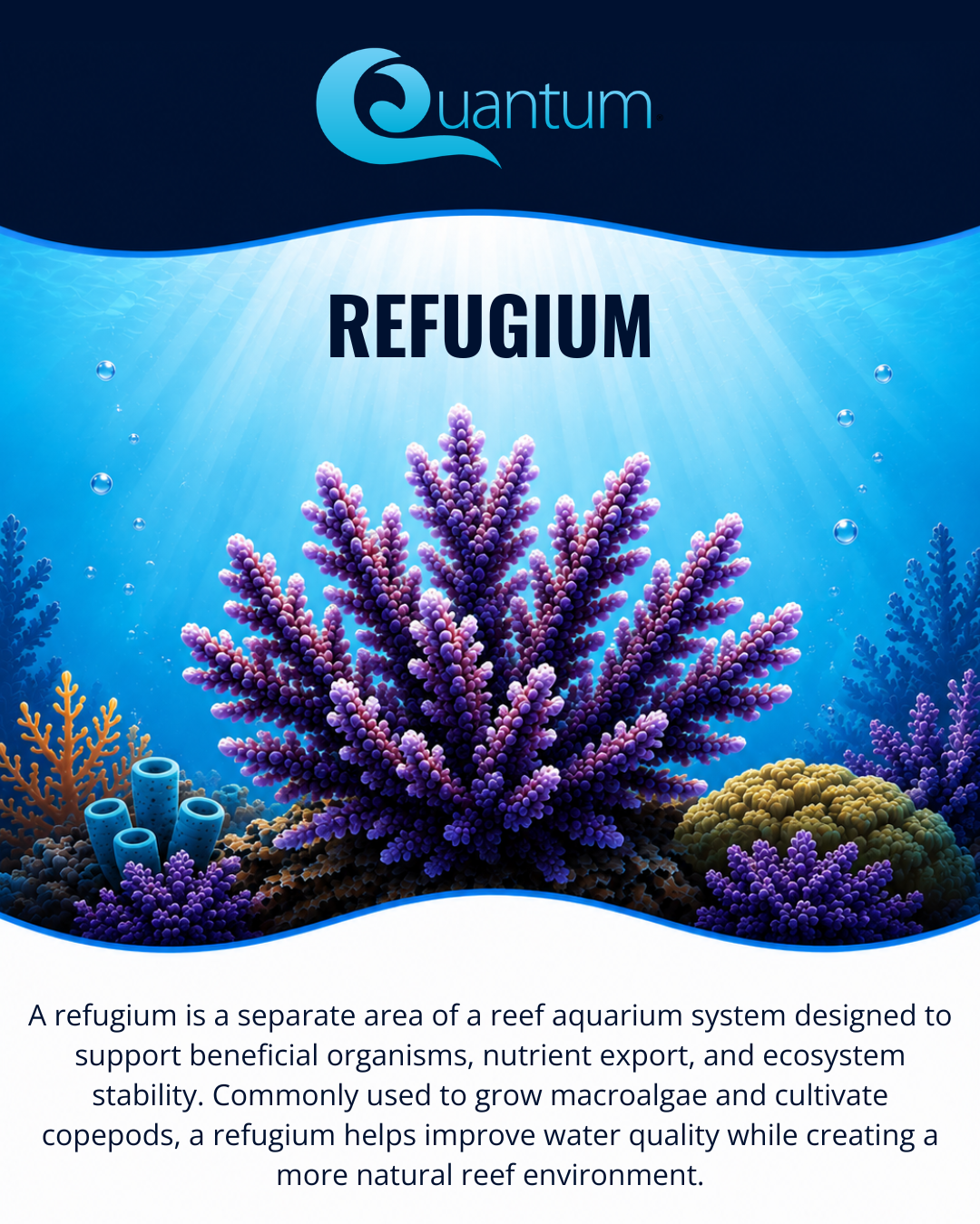 Refugium