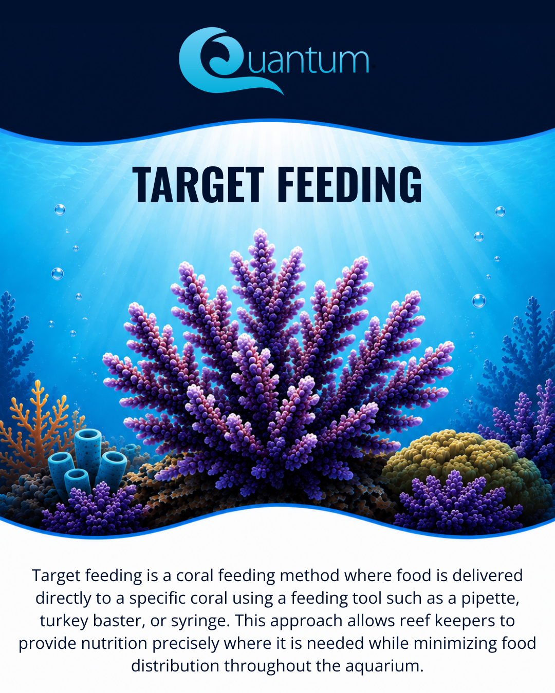 Target Feeding
