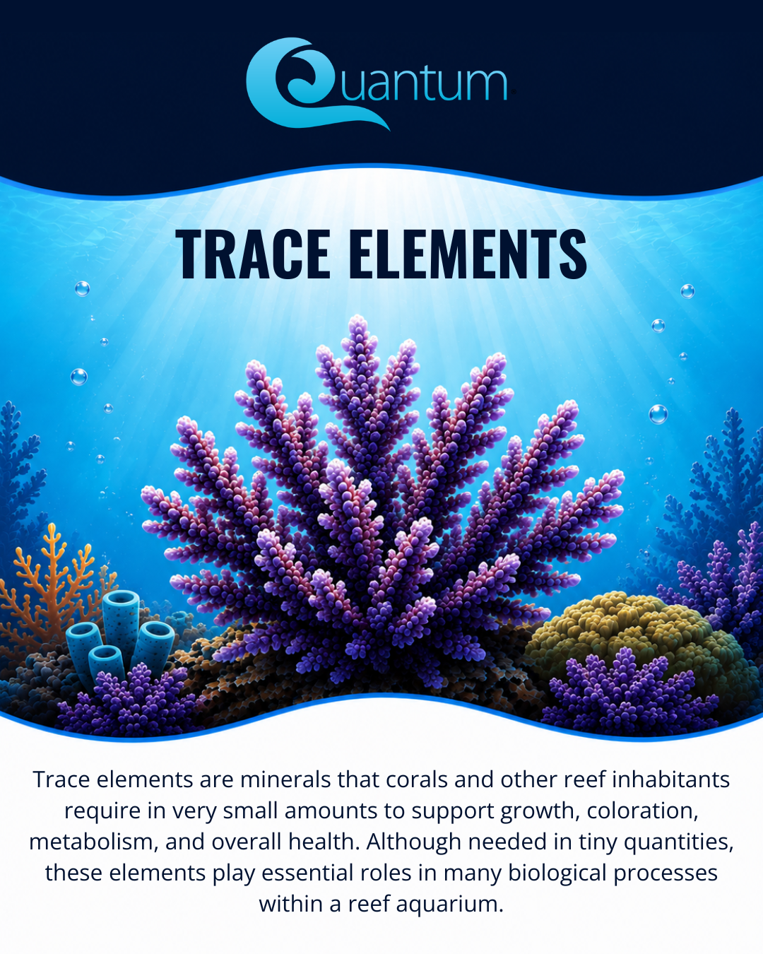 Trace Elements