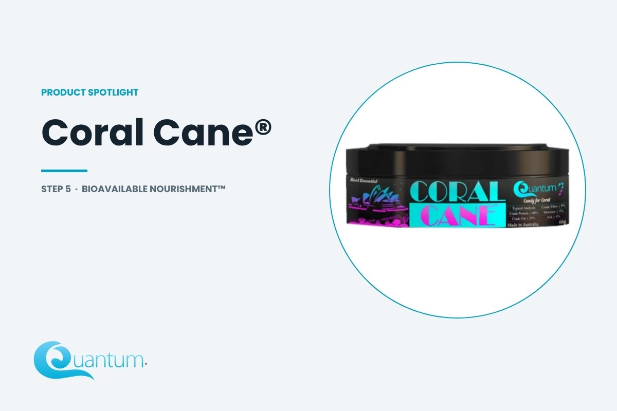 A tin of Quantum Coral Cane coral food inside a white circle on a pale grey background.