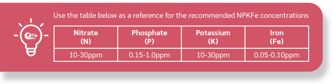 Step 3 - Npkfe Enhancers - Freshwater