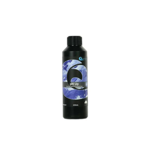 pH Up — 250ml