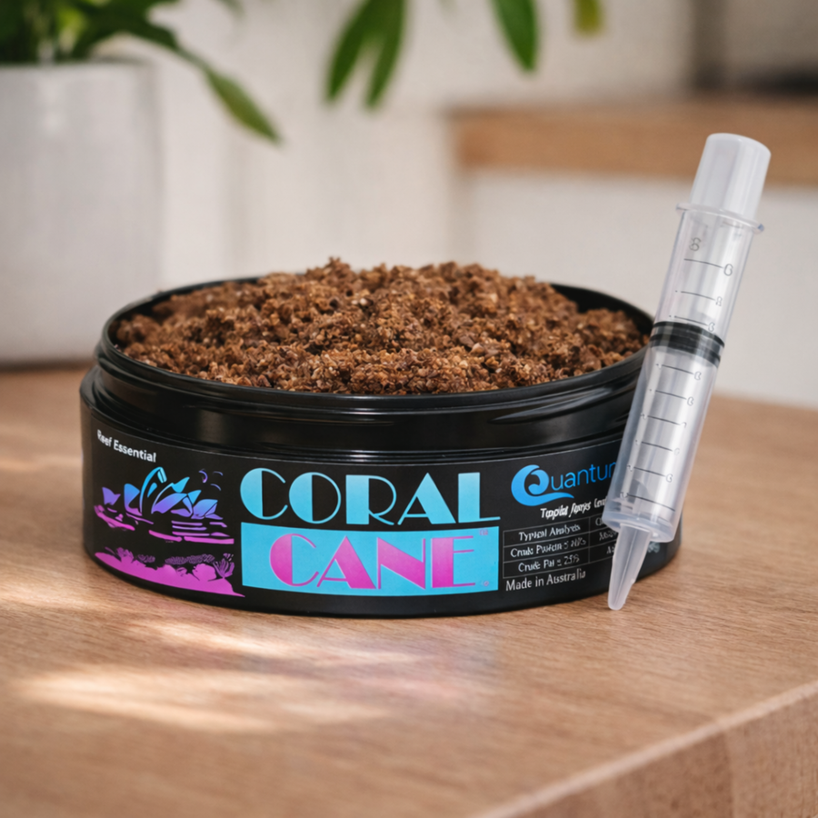 Coral Food