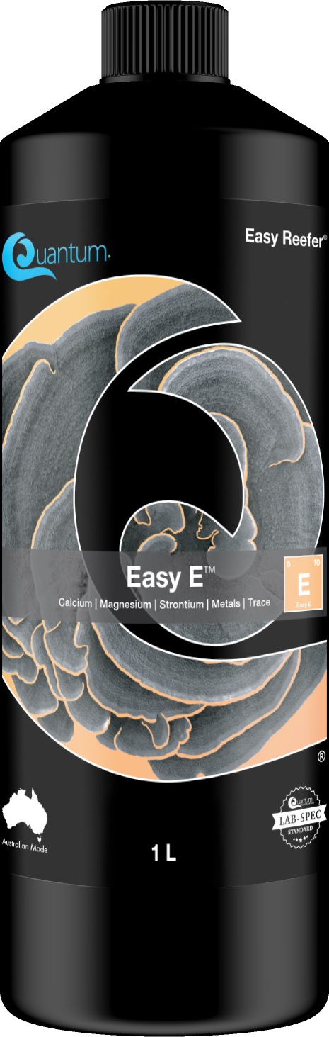Easy E