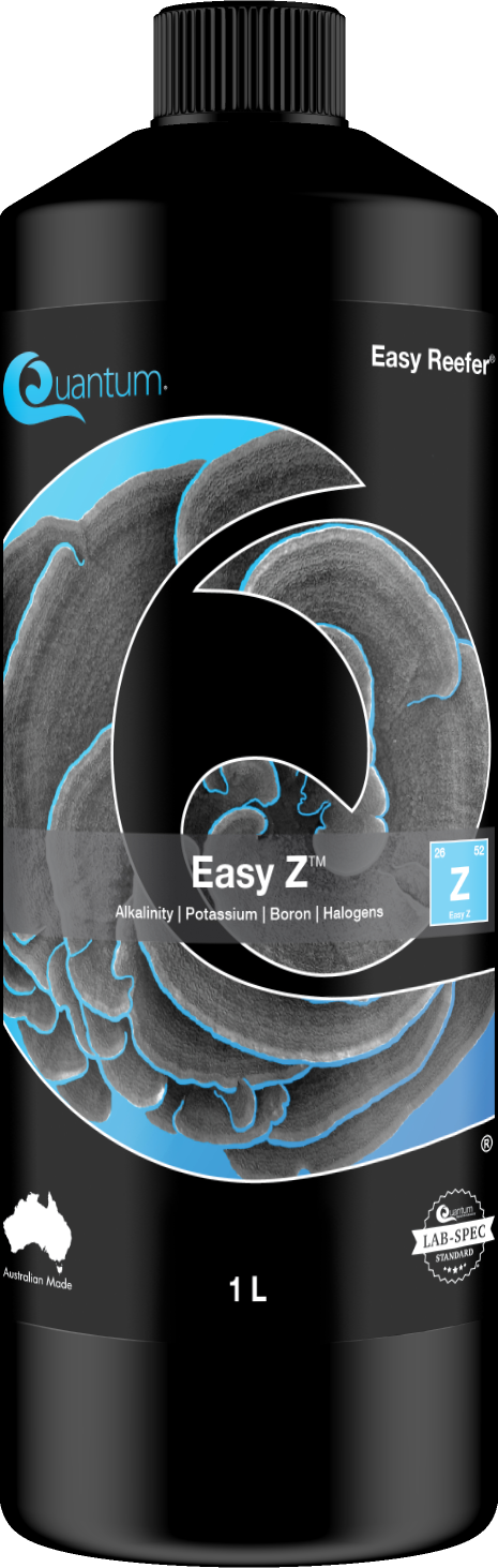 Easy Z